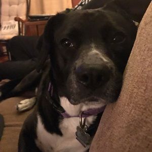 Meet your Posher, Christine